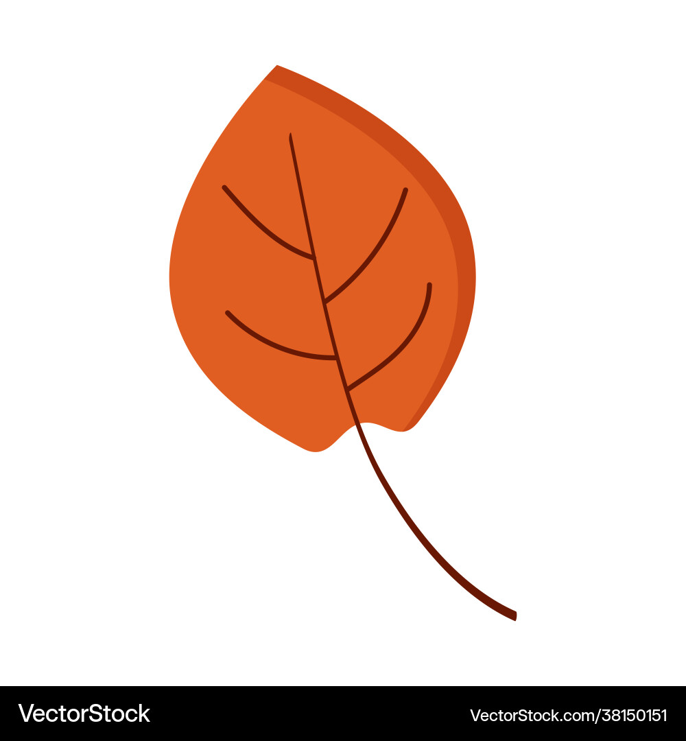 Orange leaf on a white background for use in web Orange leaf on a white background for use in web vector image