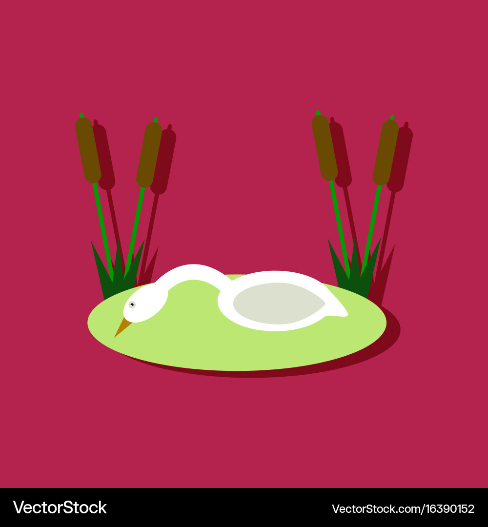 Flat icon design collection swan in the reeds vector image