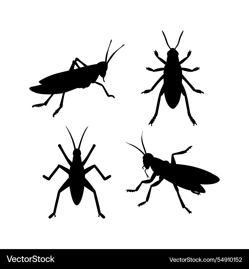 Grasshopper silhouettes Grasshopper silhouettes vector image