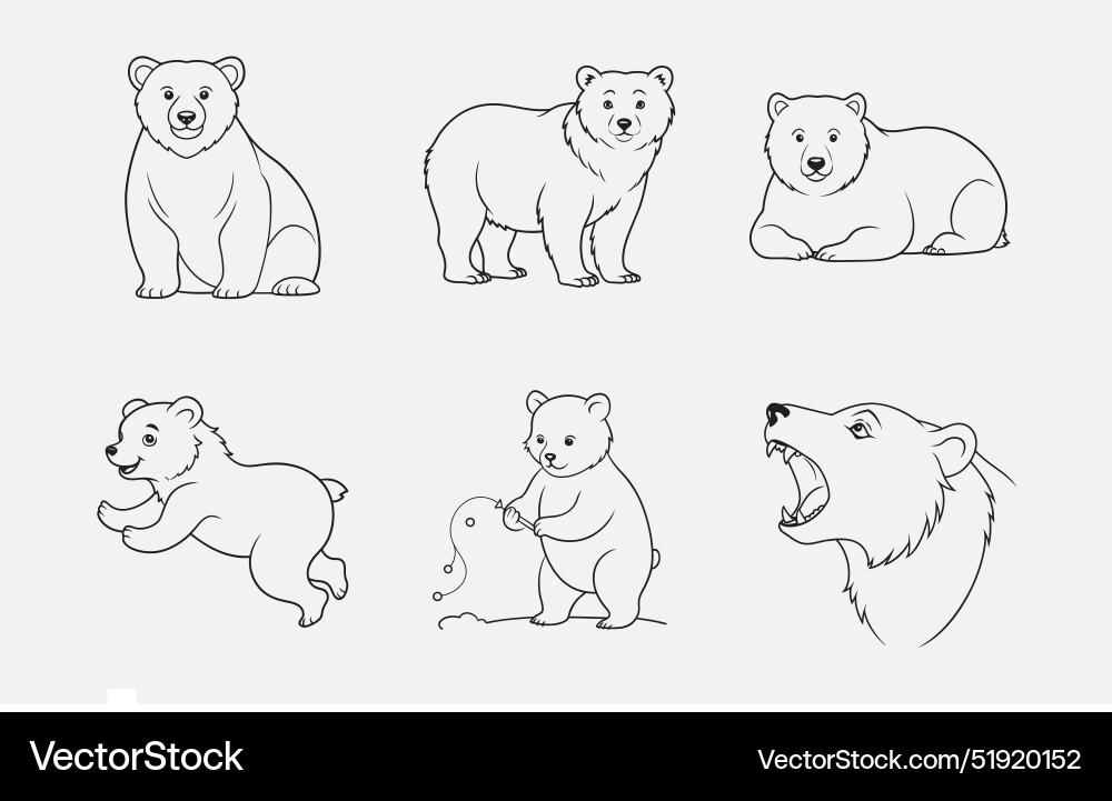 Print ultimate bear line art set Royalty Free Vector Image