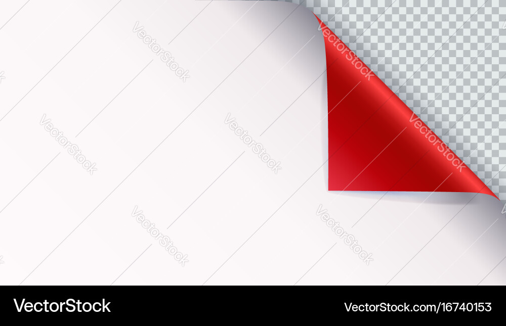 Paper Curl with Shadow vector image