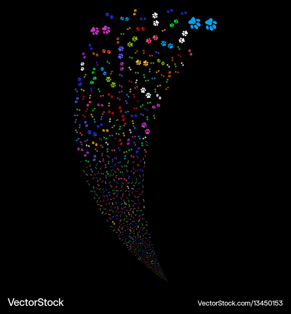 Paw footprints random stream Paw footprints random stream vector image