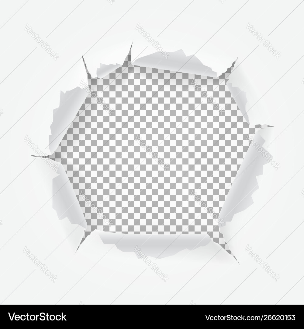 Torn paper with space for text vector image