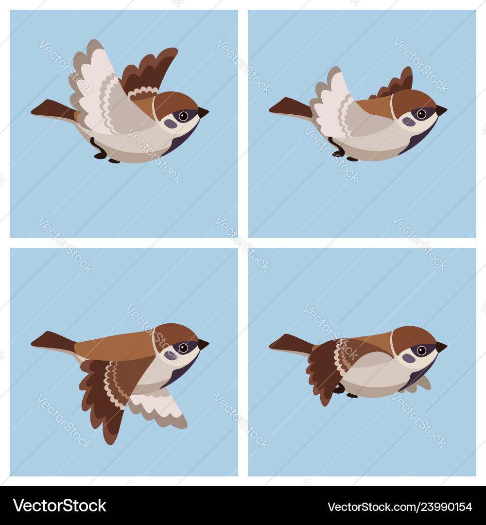 Flying tree sparrow animation sprite sheet Flying tree sparrow animation sprite sheet vector image