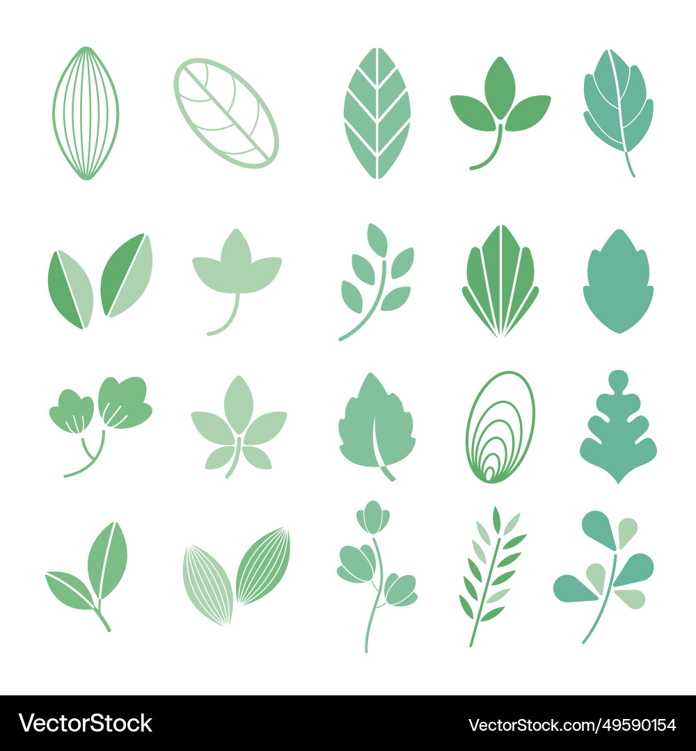 Leaf element Vector Image