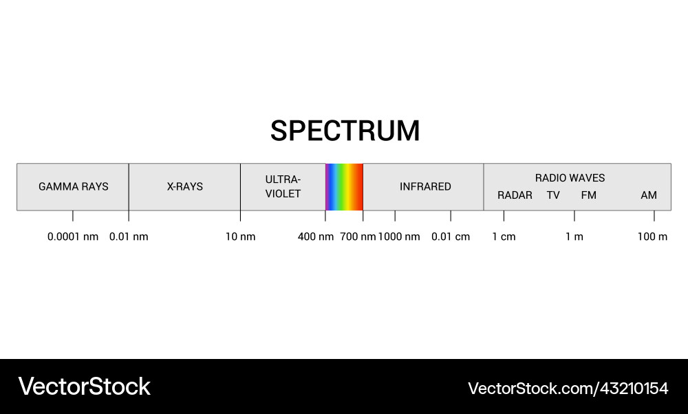Spectrum wavelength visible color range Spectrum wavelength visible color range vector image