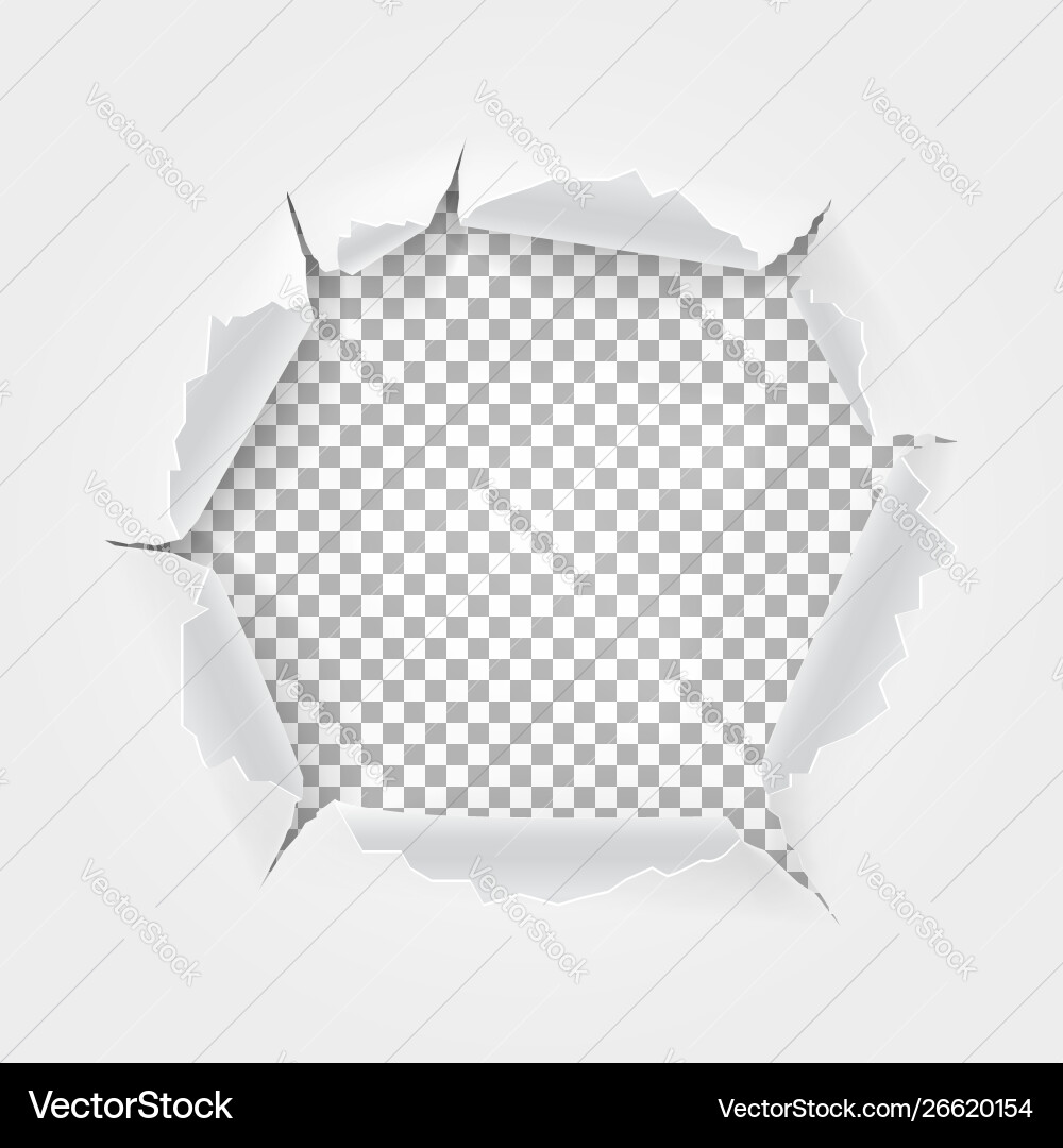 Torn paper with space for text Torn paper with space for text vector image