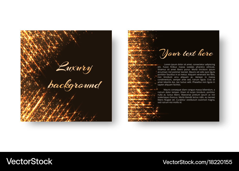 Leaflet with sparkling lights Vector Image