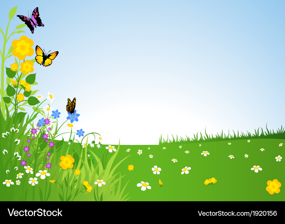 Spring meadow Vector Image