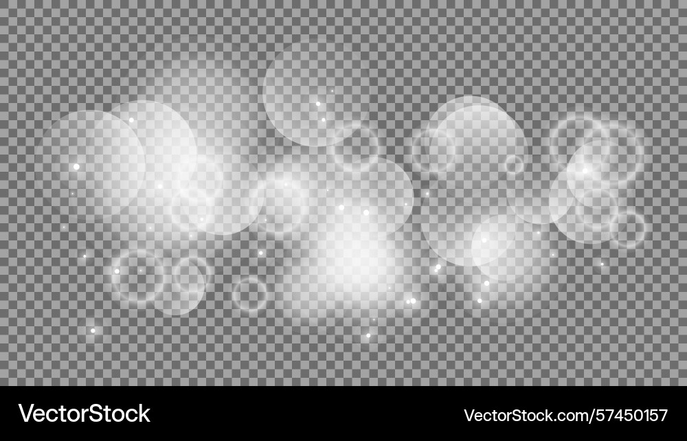 Bokeh circles on transparent background Bokeh circles on transparent background vector image