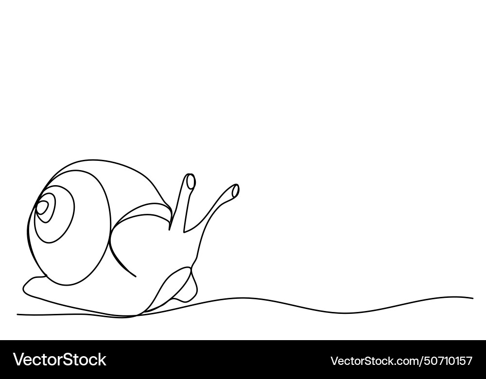 Snail one line drawing animation with alpha Snail one line drawing animation with alpha Vector Image
