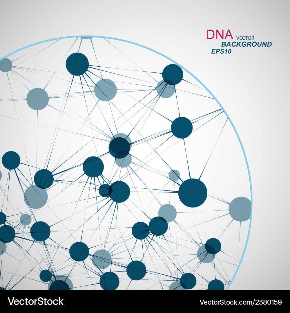 Network connection and dna eps10 Vector Image