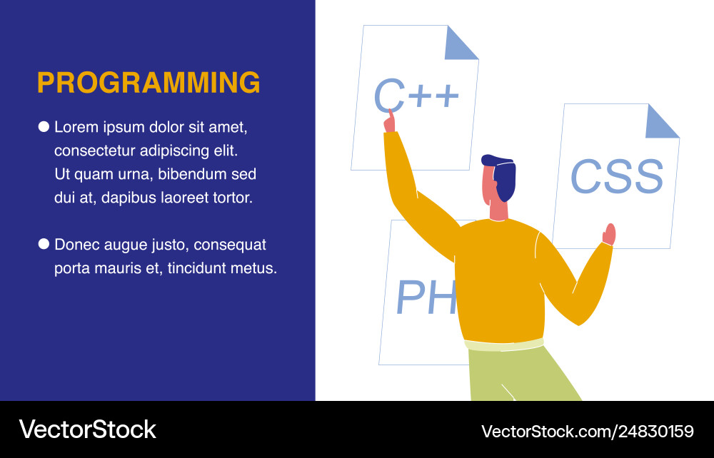 Programming flat web banner with text space Programming flat web banner with text space vector image