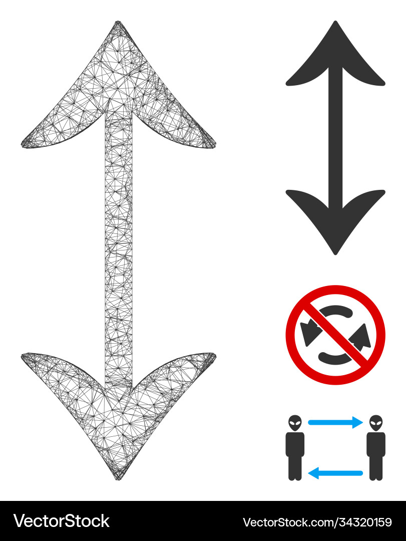 Swap vertically polygonal web mesh Swap vertically polygonal web mesh vector image