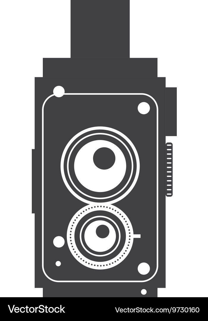 Camera with flash icon gadget design vector image