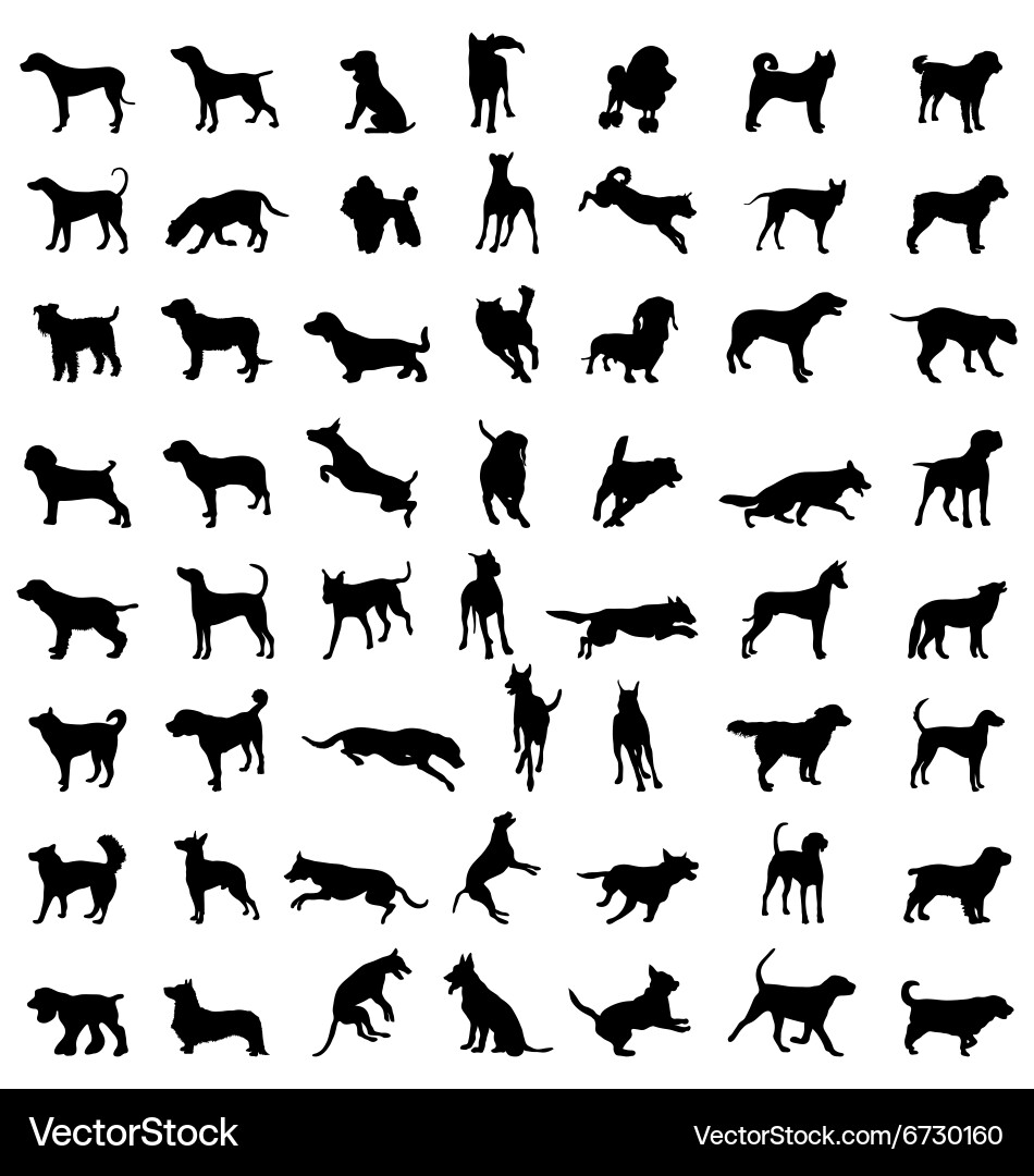Dog Silhouettes Collection Vector Image
