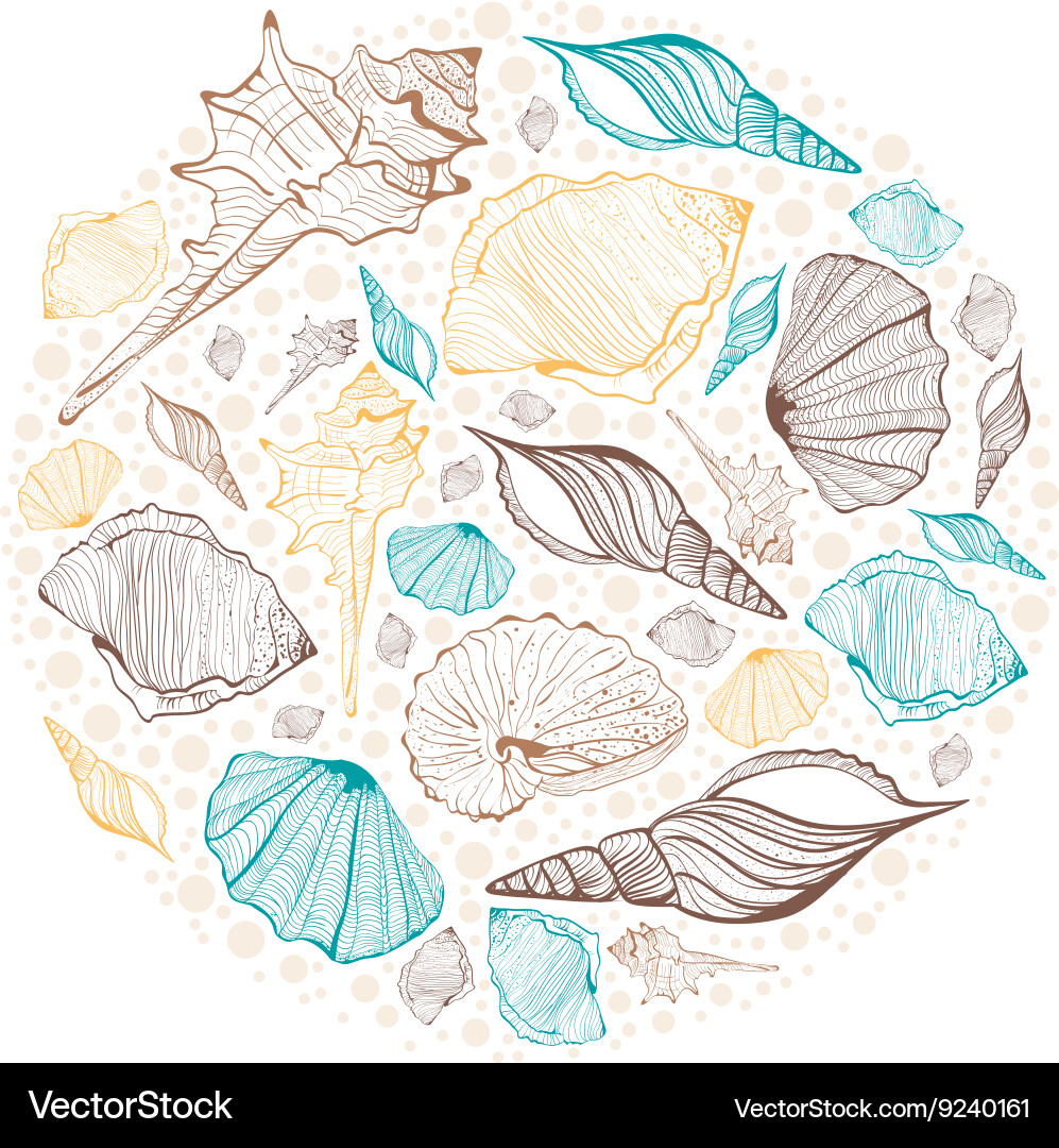 Seashell Frame with Coral Pattern vector image