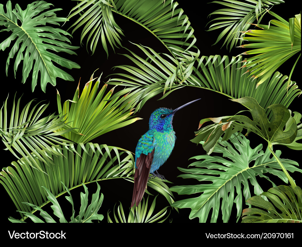 Tropical hummingbird banner Tropical hummingbird banner vector image
