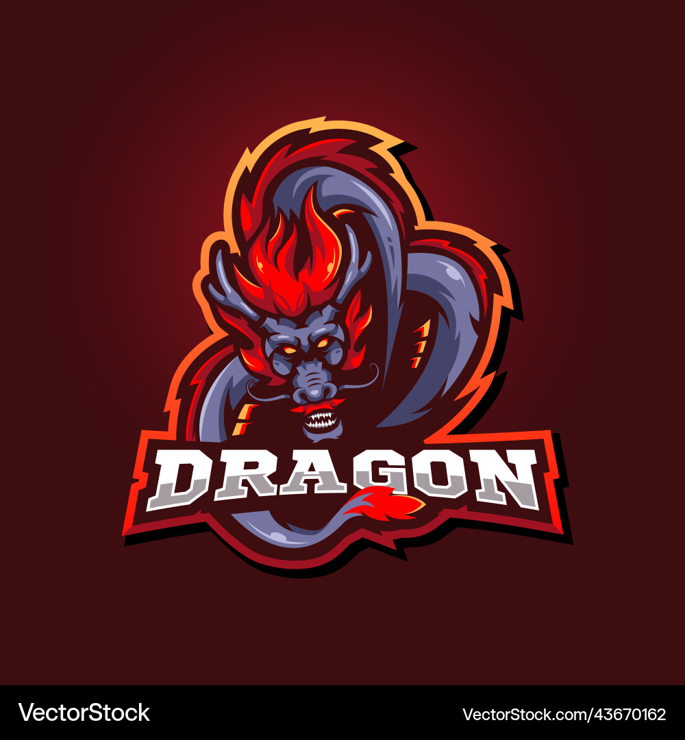 Dragon mascot logo Dragon mascot logo Vector Image