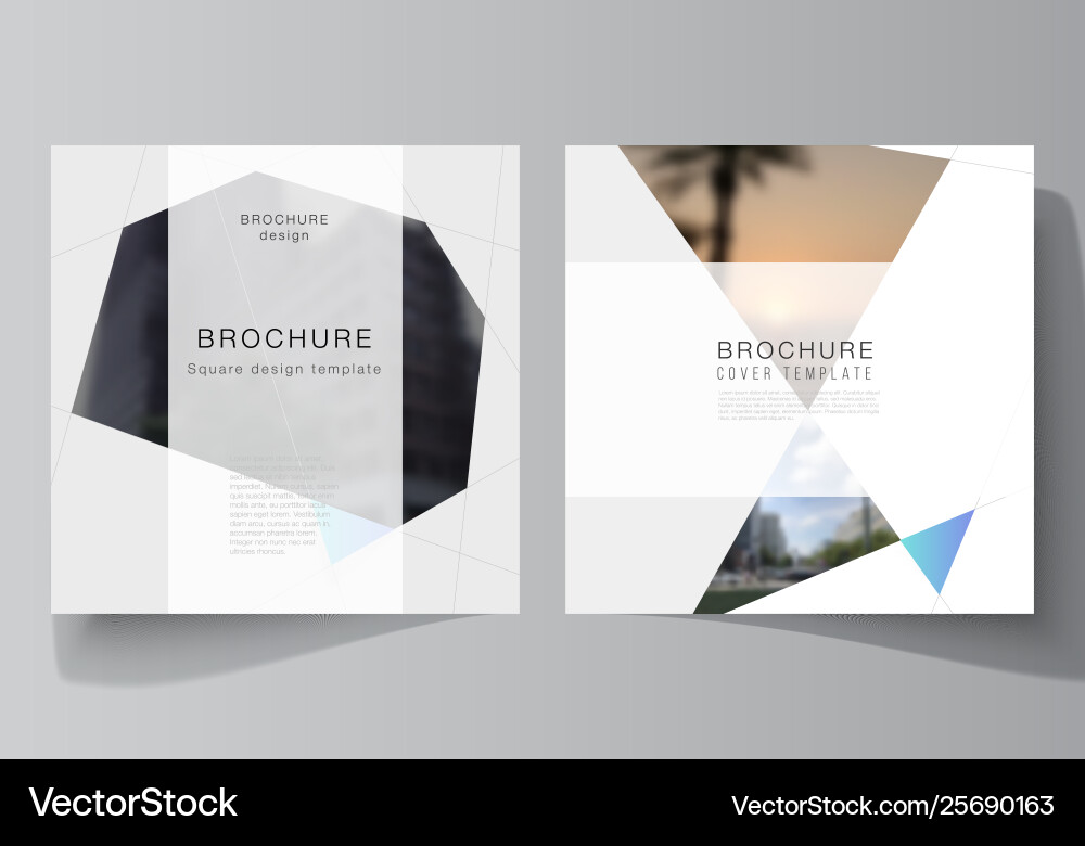 Minimal layout two square format Minimal layout two square format vector image