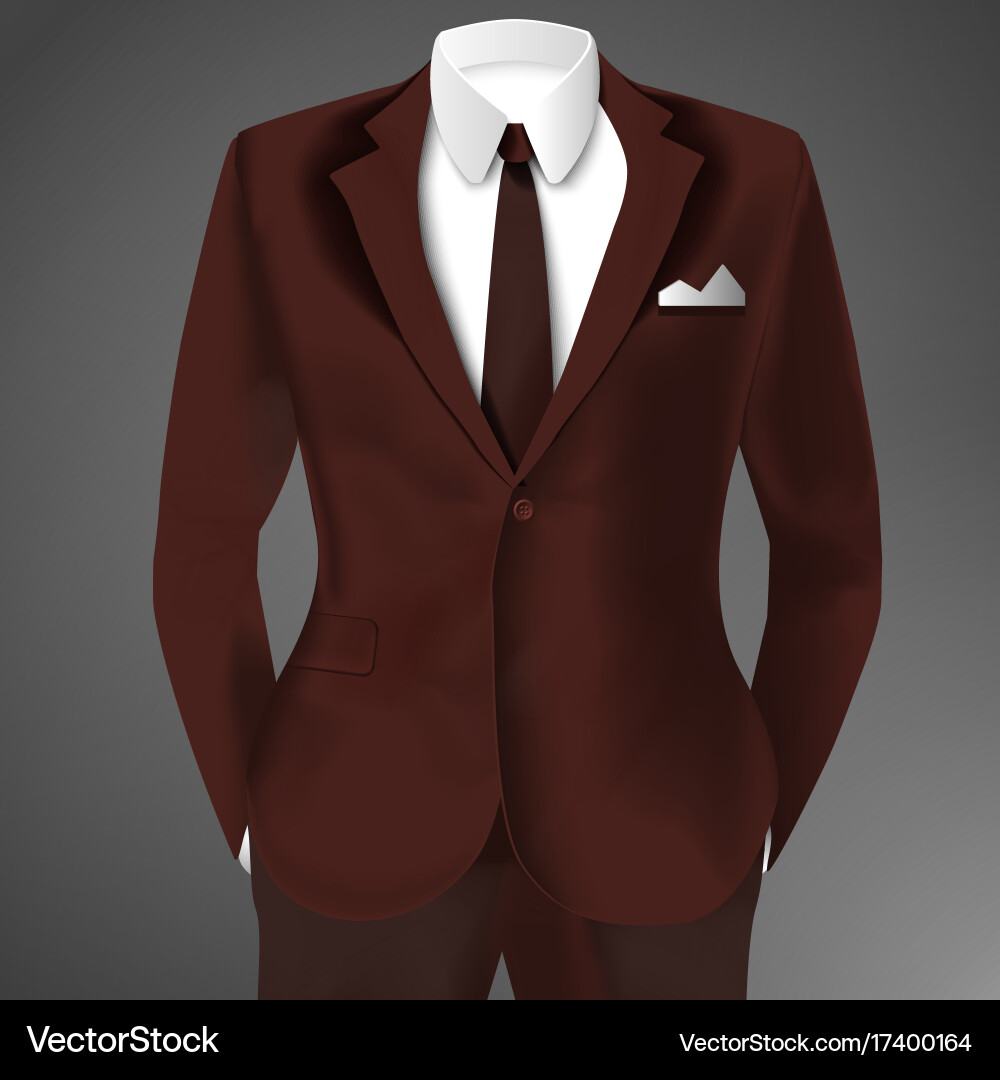 Elegant man suit Royalty Free Vector Image - VectorStock