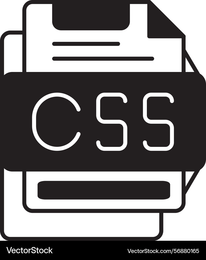 Css icon vector image