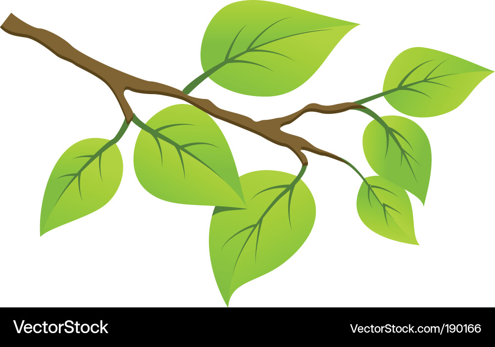 Detailed Tree Branch vector image
