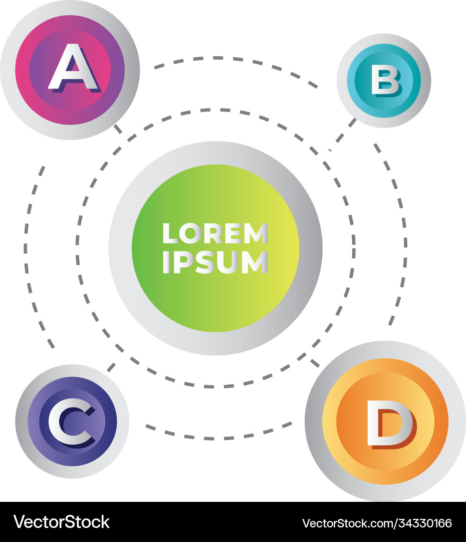 Infographic circular four steps information graph vector image