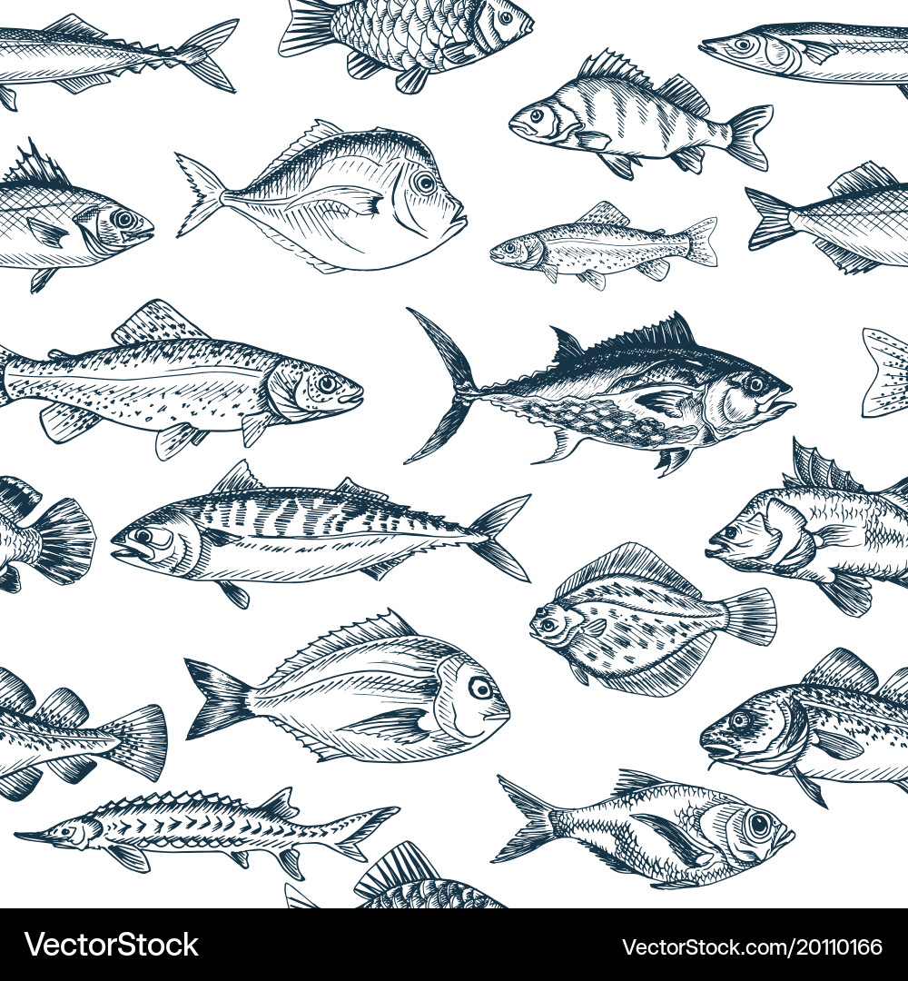 Sketch - fish pattern vector image