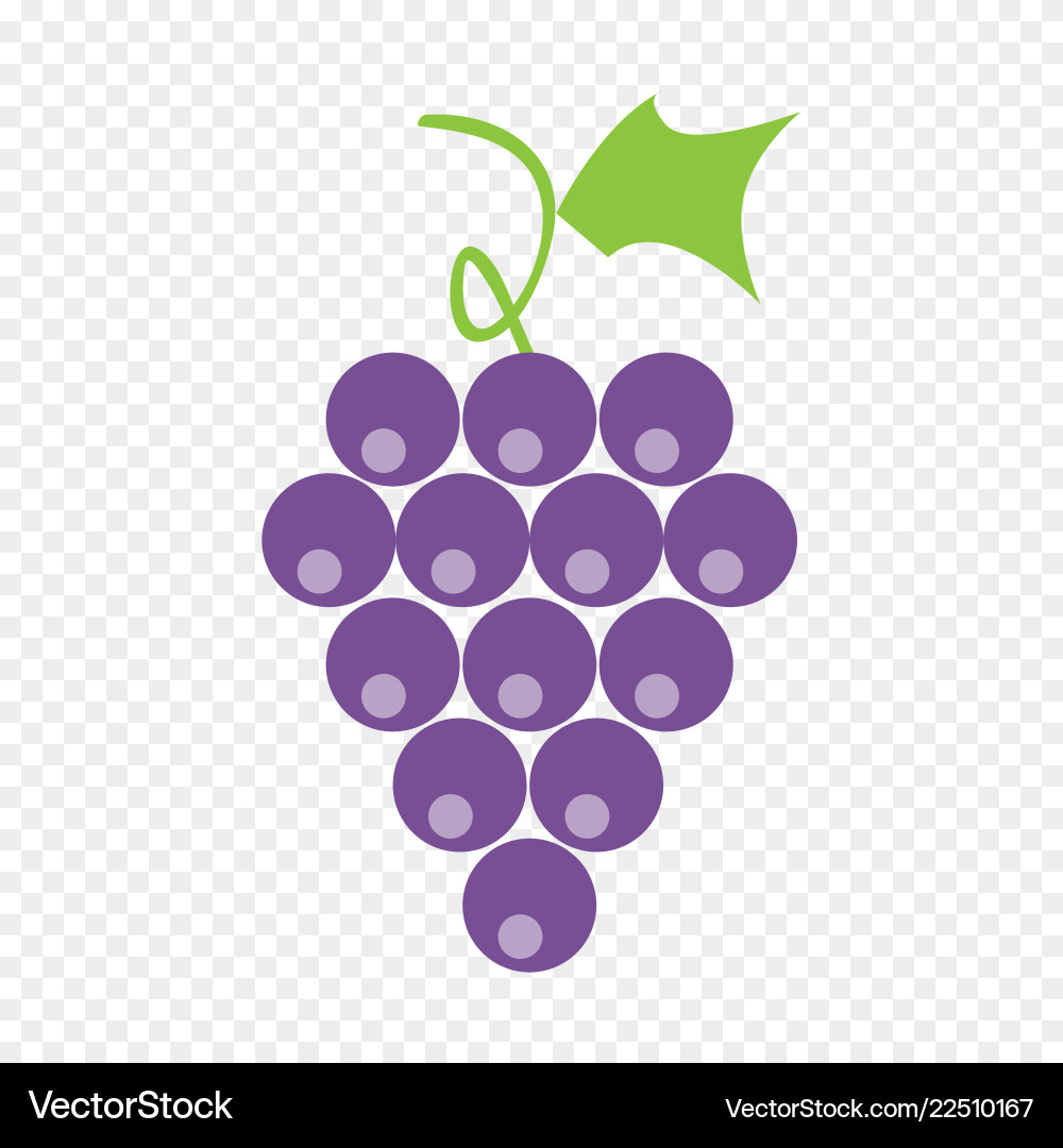 Berries grape with liveas on transparent Berries grape with liveas on transparent Vector Image