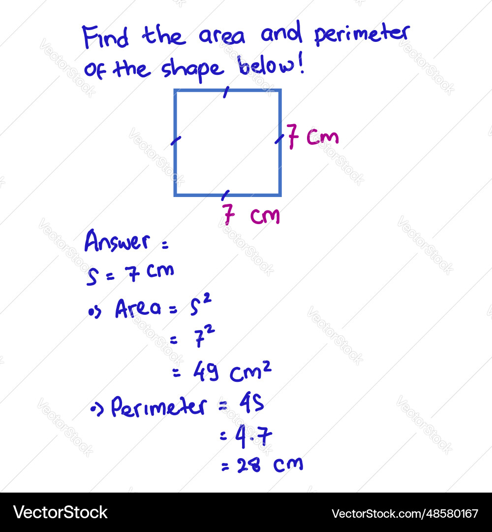 Math formulas on a white background vector image