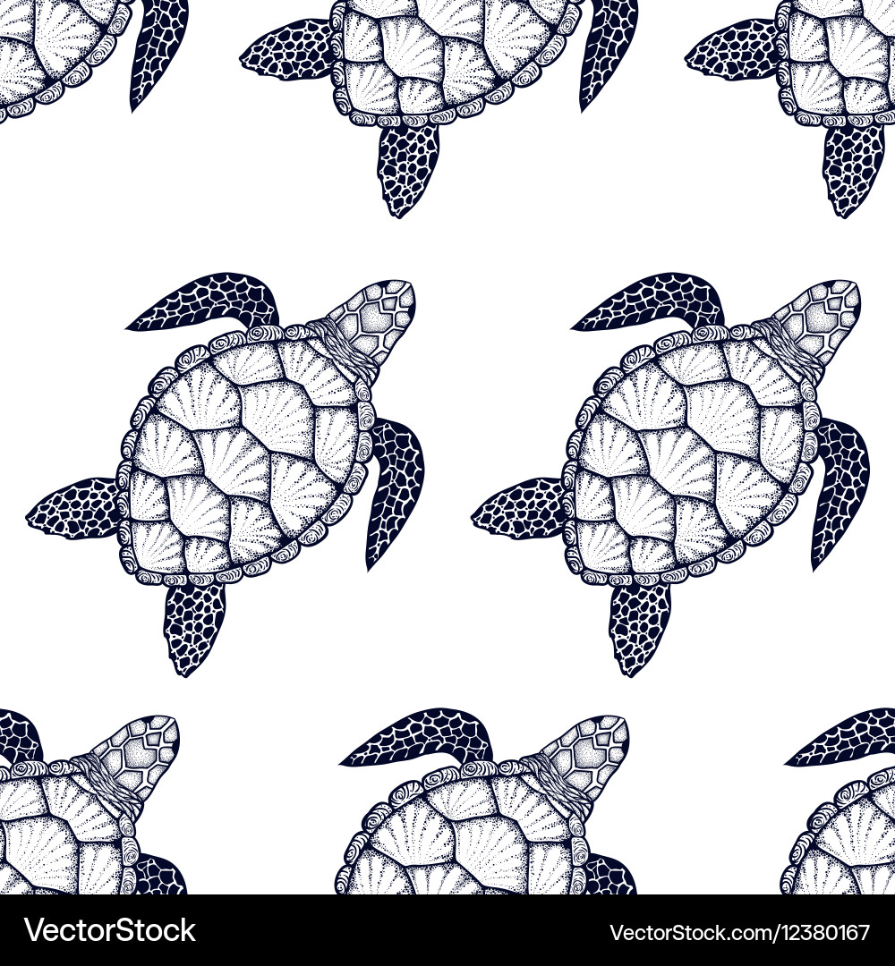 Seamless pattern with sea turtle in line art style Vector Image