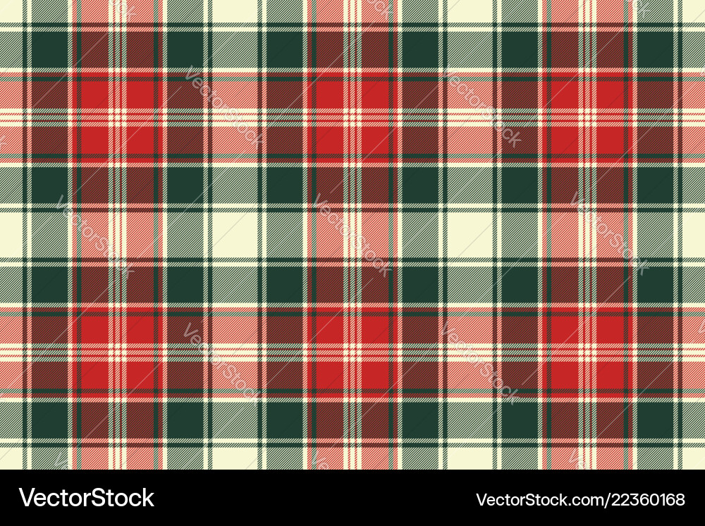 Check Plaid Fabric Pattern vector image