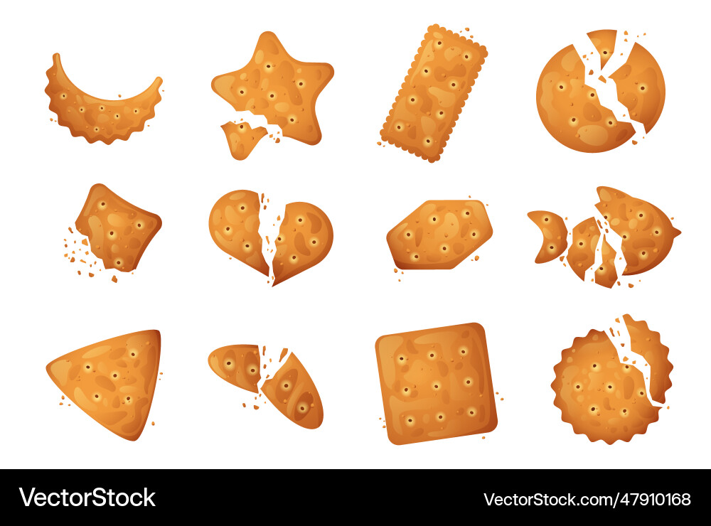 Cracker Krümel Set gebrochene Cookies Kekse Cracker Krümel Set gebrochene Cookies Kekse vektorbild
