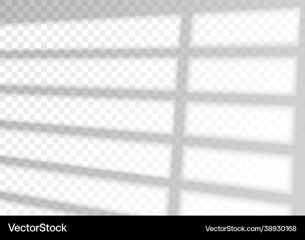 Transparent overlay window and blinds shadow Vector Image