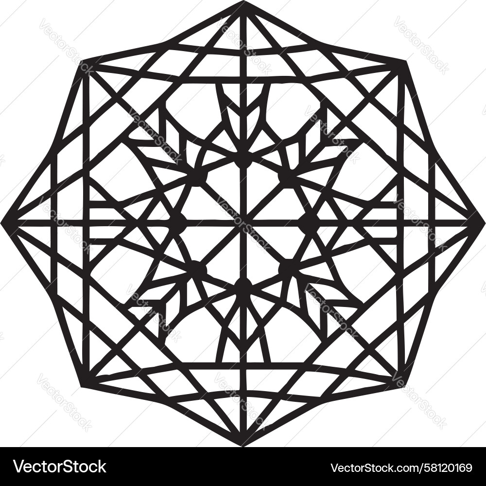 Complex Circular Web Pattern Vector Image