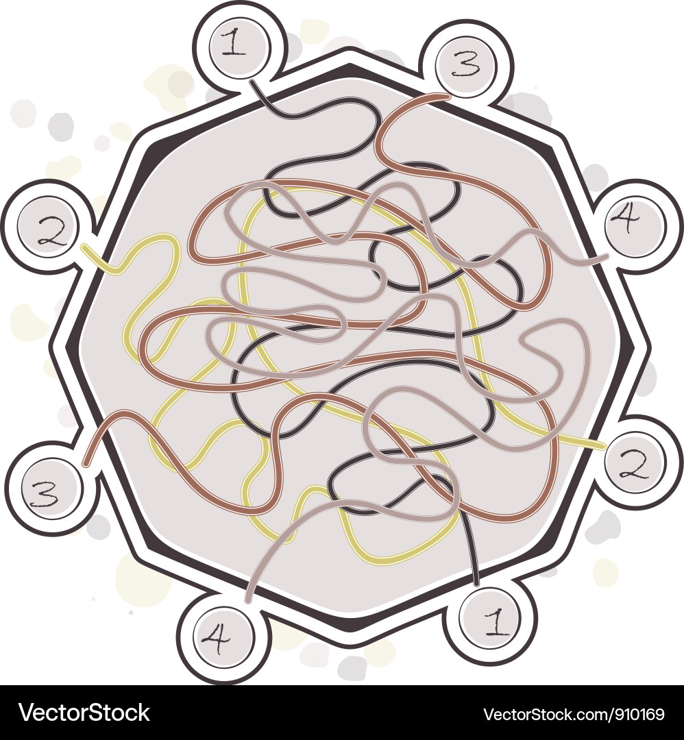 Complex Maze Pattern vector image