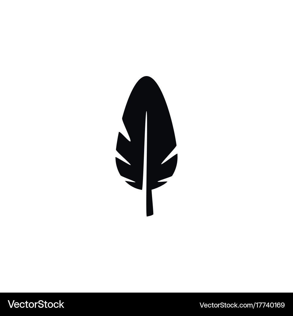 Isolated plume icon nib element can vector image