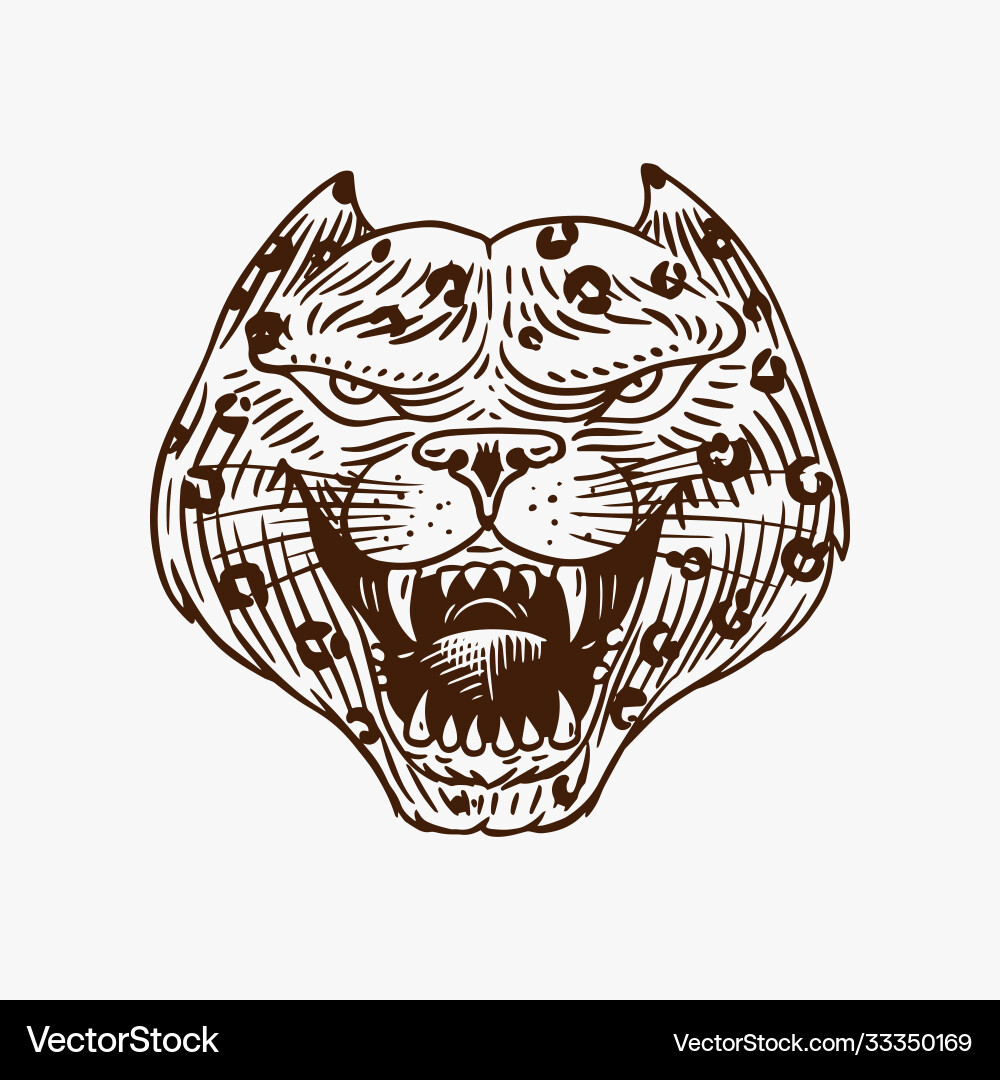 Screaming mad leopard or panther for tattoo vector image