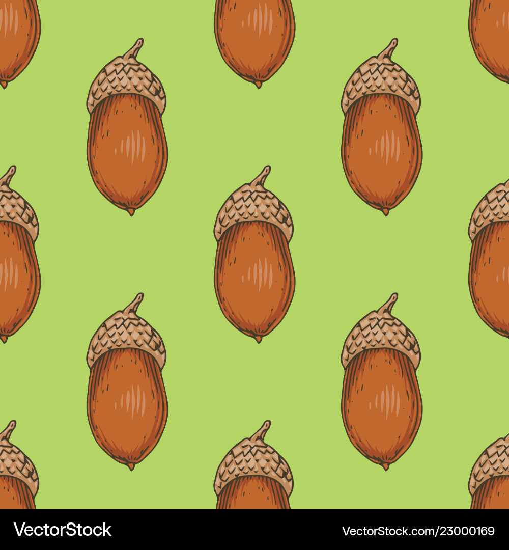 Seamless pattern with ripe acorn vector image