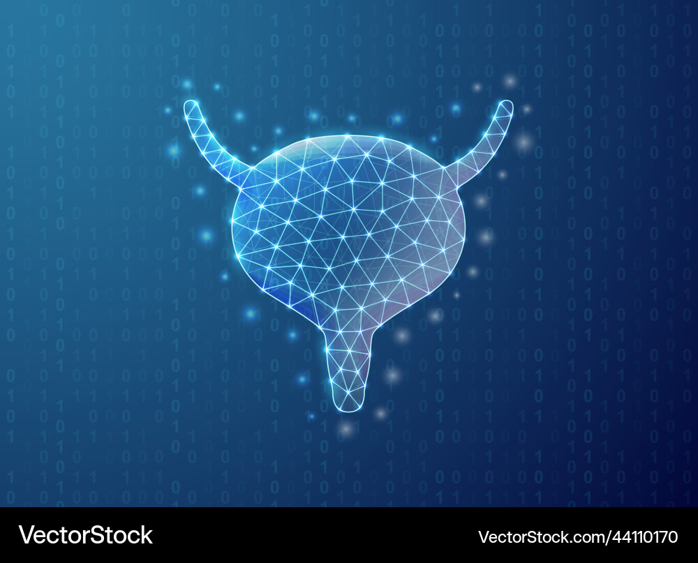 Bladder polygonal symbol with binary code Bladder polygonal symbol with binary code Vector Image