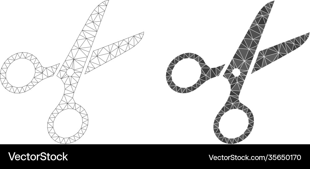 Scissors triangle and mesh icon Vector Image