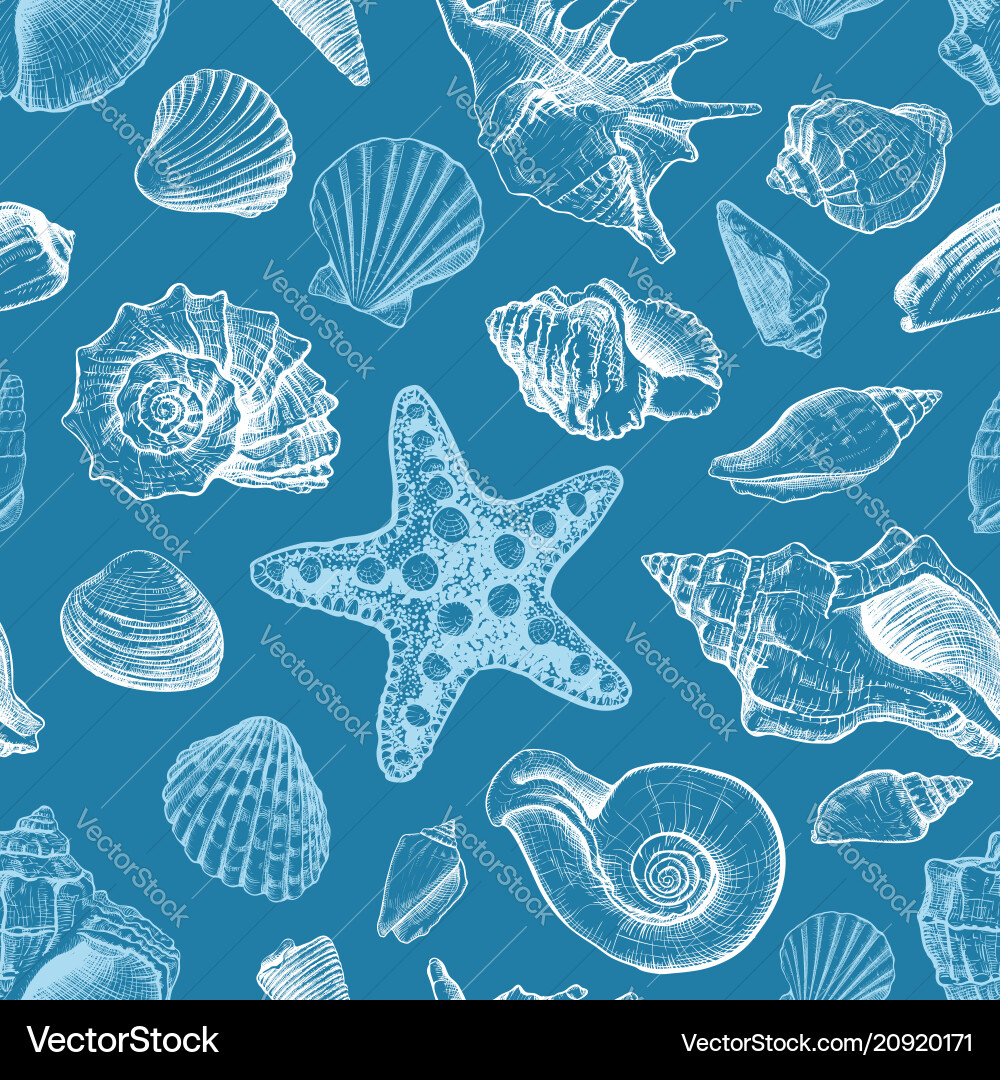 Seashell Pattern - Coastal Art vector image