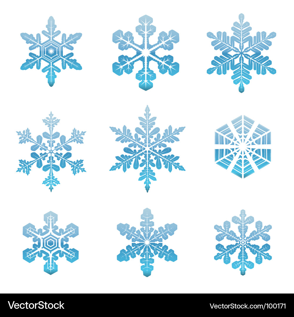 Snowflakes collection Royalty Free Vector Image