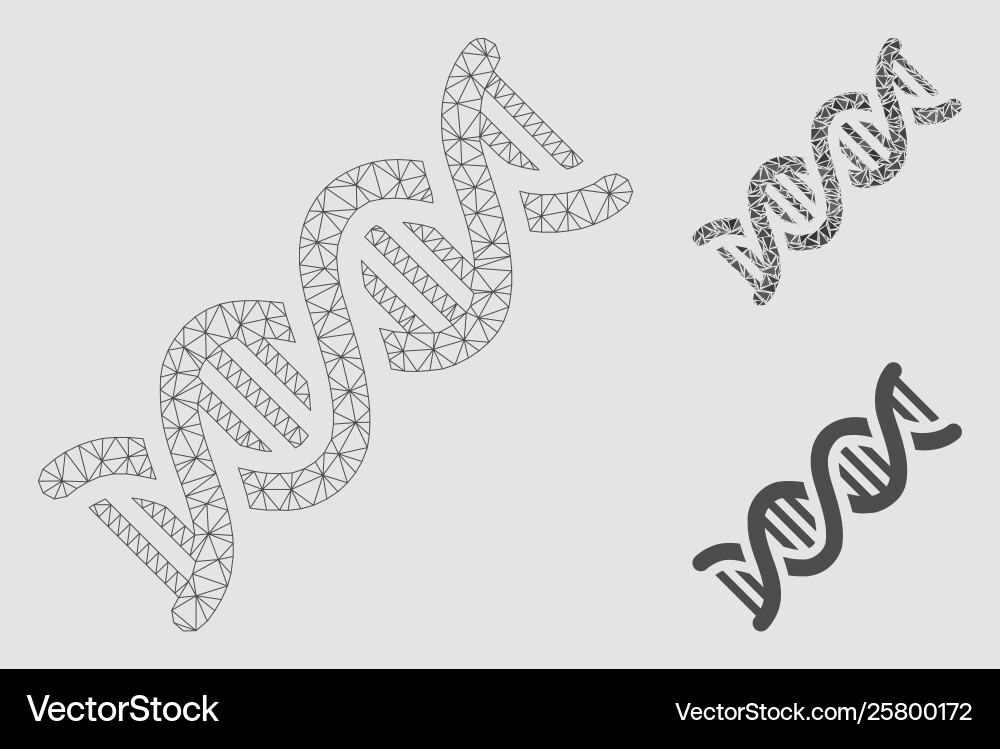 Dna spiral mesh network model and triangle vector image