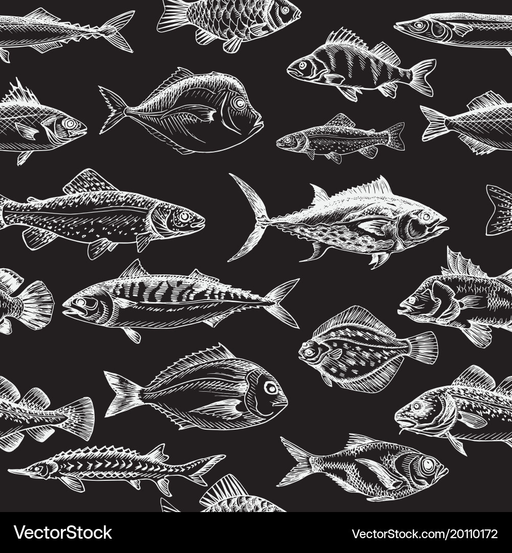 Sketch - fish pattern vector image