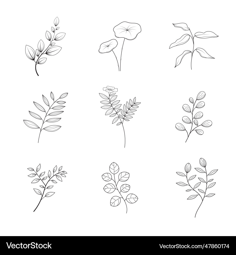 Minimalist flowers and botanic collection hand Minimalist flowers and botanic collection hand vector image