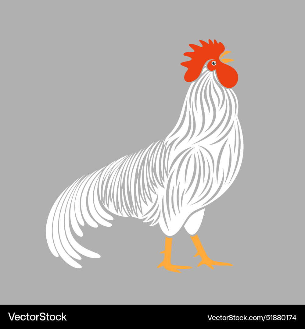 Rooster Royalty Free Vector Image - VectorStock