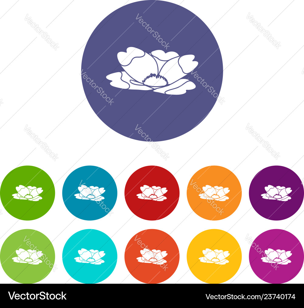 Summer flower icons set color Summer flower icons set color vector image