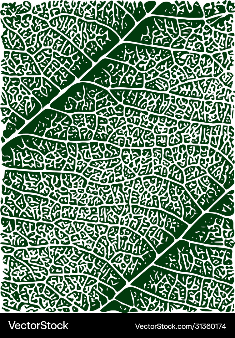 Textured Leaf Pattern vector image